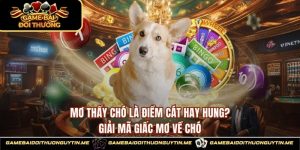Mơ Thấy Chó Là Điềm Cát Hay Hung?  Giải Mã Giấc Mơ Về Chó